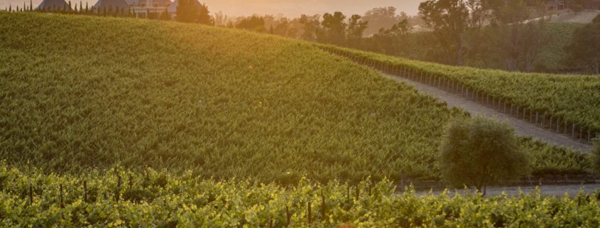 36 Hours in Napa Valley